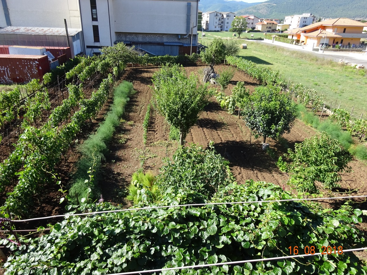 This attractive building is arranged over 3 floors includes 12 room