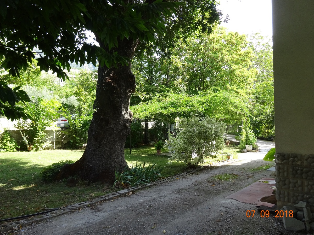 This attractive building is arranged over 3 floors includes 12 room