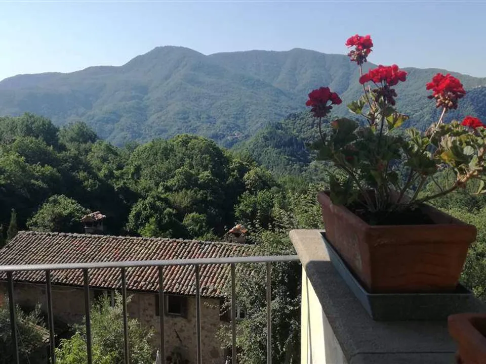 Molazzana, house with terrace  for sale