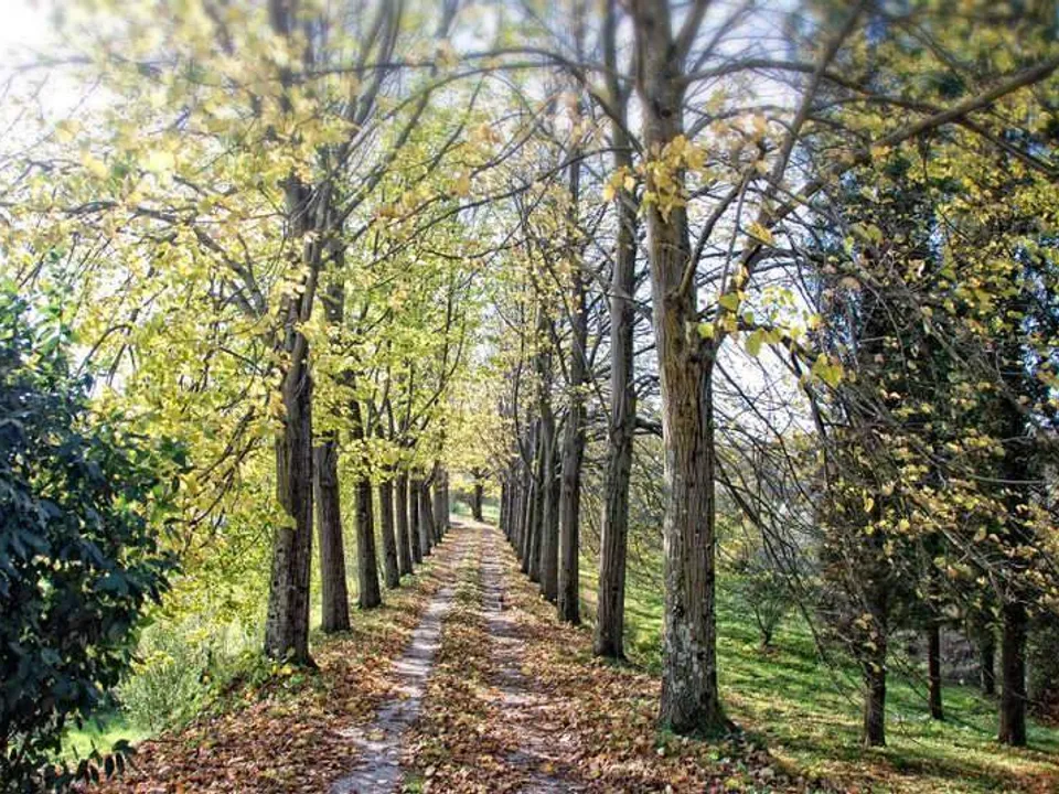 Fucecchio, beautiful villa for sale