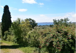 Splendid villa overlooking lake bracciano, near Rome
