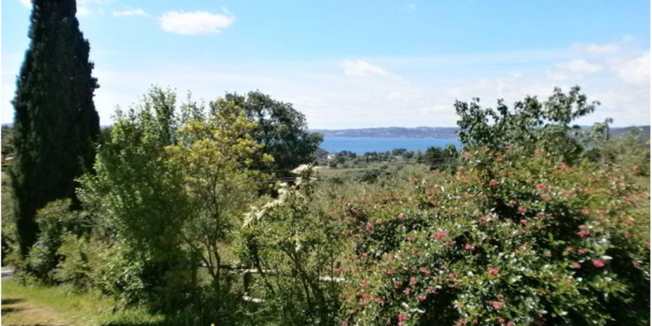 Splendid villa overlooking lake bracciano, near Rome