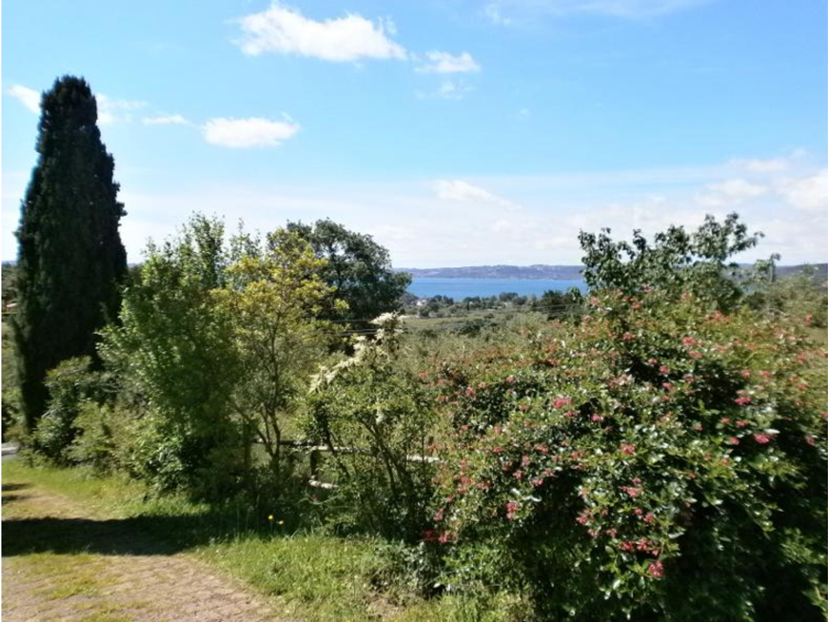 Splendid villa overlooking lake bracciano, near Rome