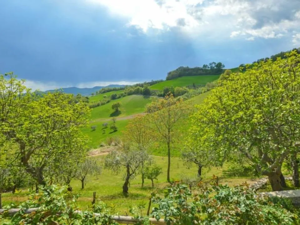 Beautiful farmhouse in Macerata Feltria for sale