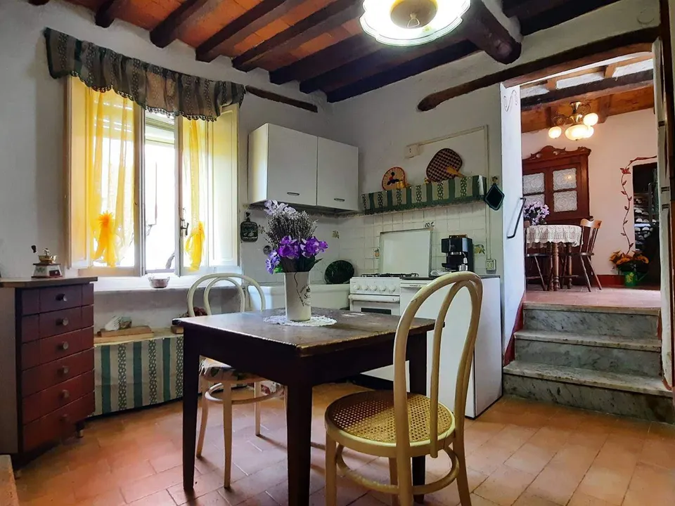Extremely attractive house in the medieval village of Trassilico, in Gallicano.