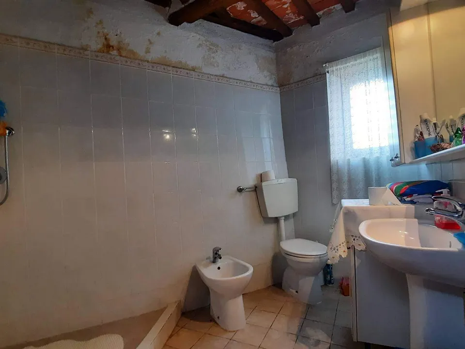 Extremely attractive house in the medieval village of Trassilico, in Gallicano.