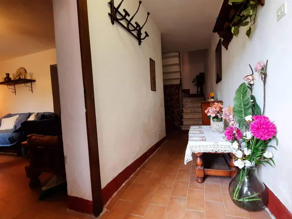 Extremely attractive house in the medieval village of Trassilico, in Gallicano.