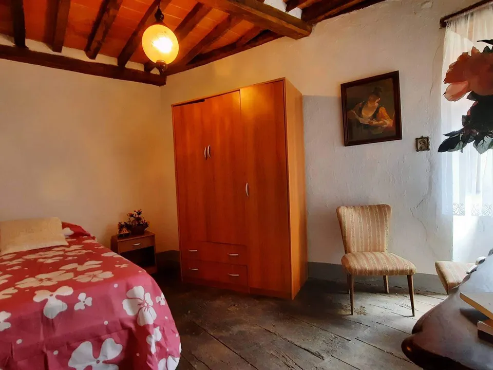 Extremely attractive house in the medieval village of Trassilico, in Gallicano.