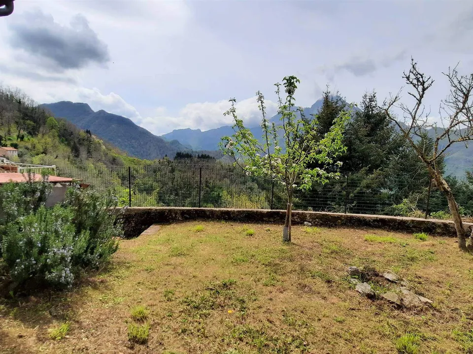 Extremely attractive house in the medieval village of Trassilico, in Gallicano.