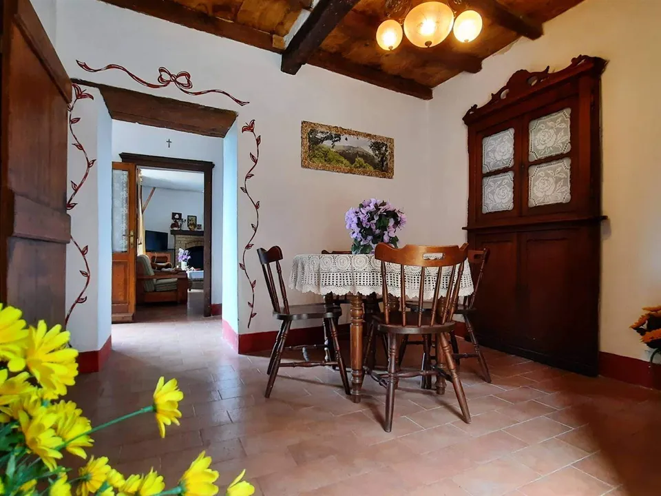 Extremely attractive house in the medieval village of Trassilico, in Gallicano.