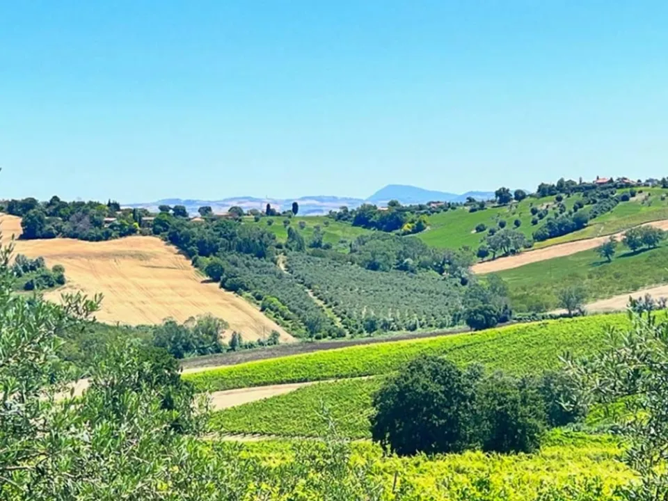 Wonderful stone villa of classic Italian architecture in Morro D’Alba for sale