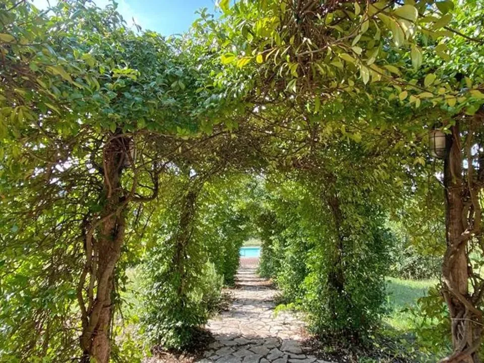 The nice house  in the countryside near  Todi for sale