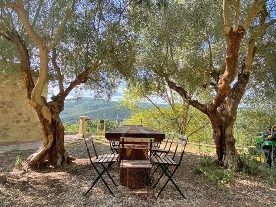 The nice house  in the countryside near  Todi for sale