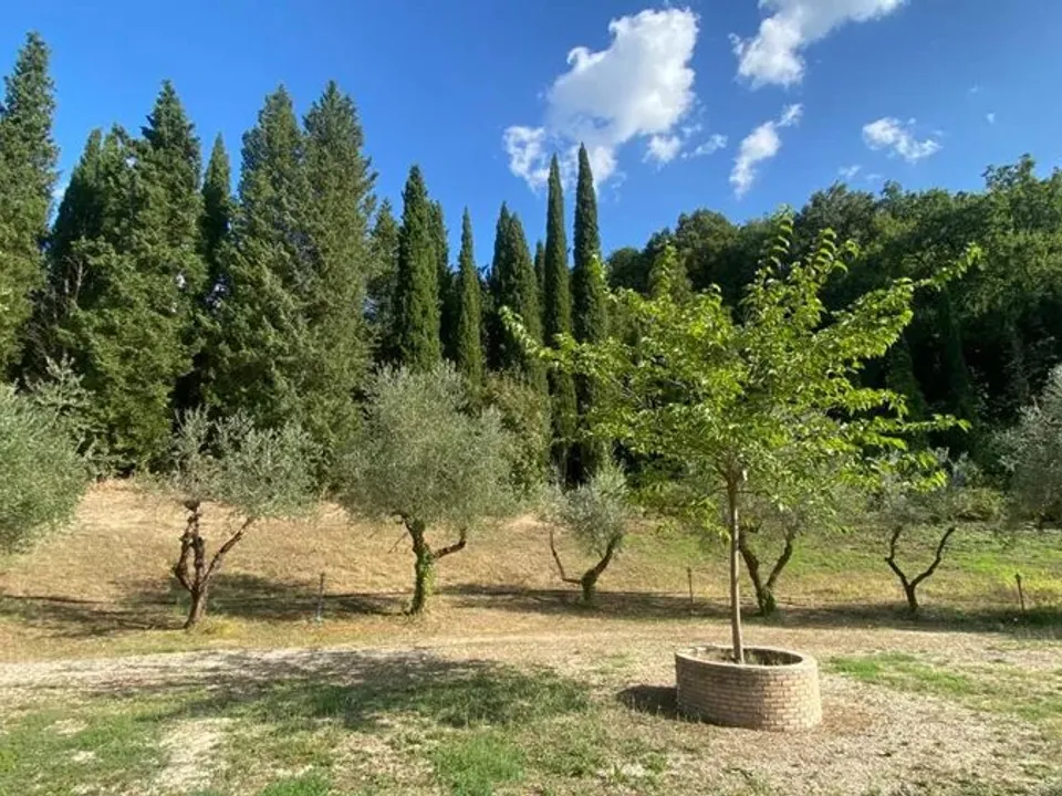 The nice house  in the countryside near  Todi for sale