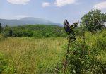 Vacation home for sale with plot of land