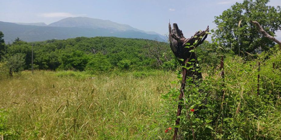 Vacation home for sale with plot of land