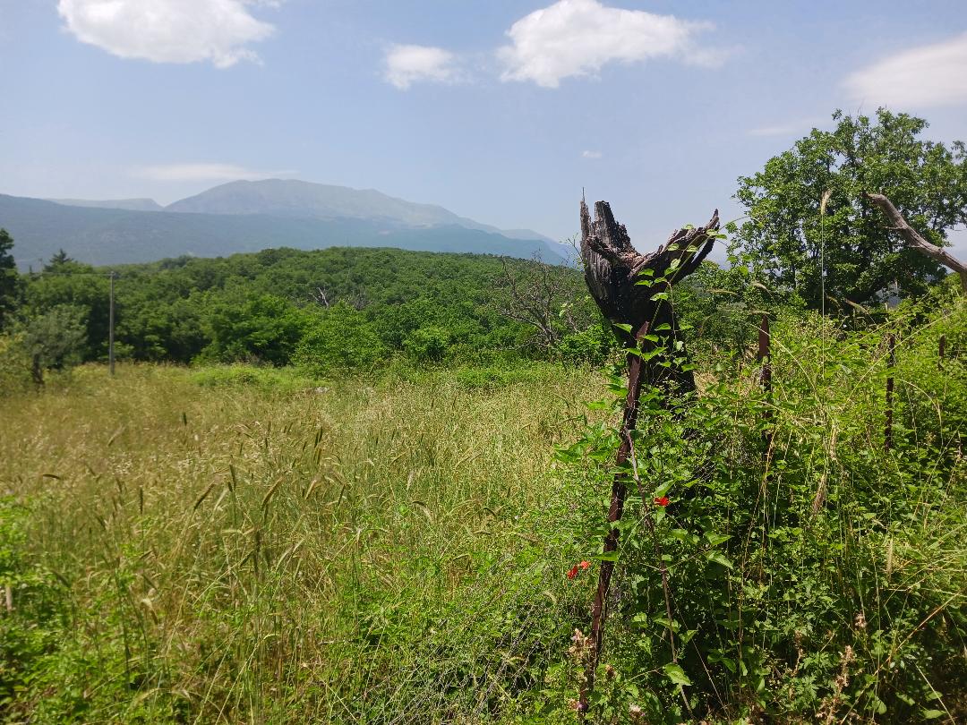 Vacation home for sale with plot of land