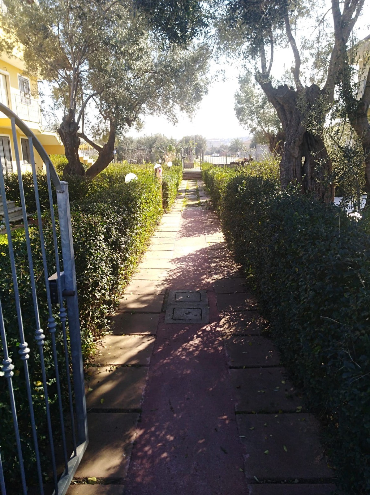 10 Beach Homes , one price