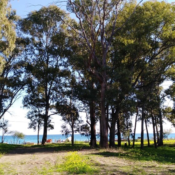 NEW BEACH MOISONETTE WITH FINAL PRICE