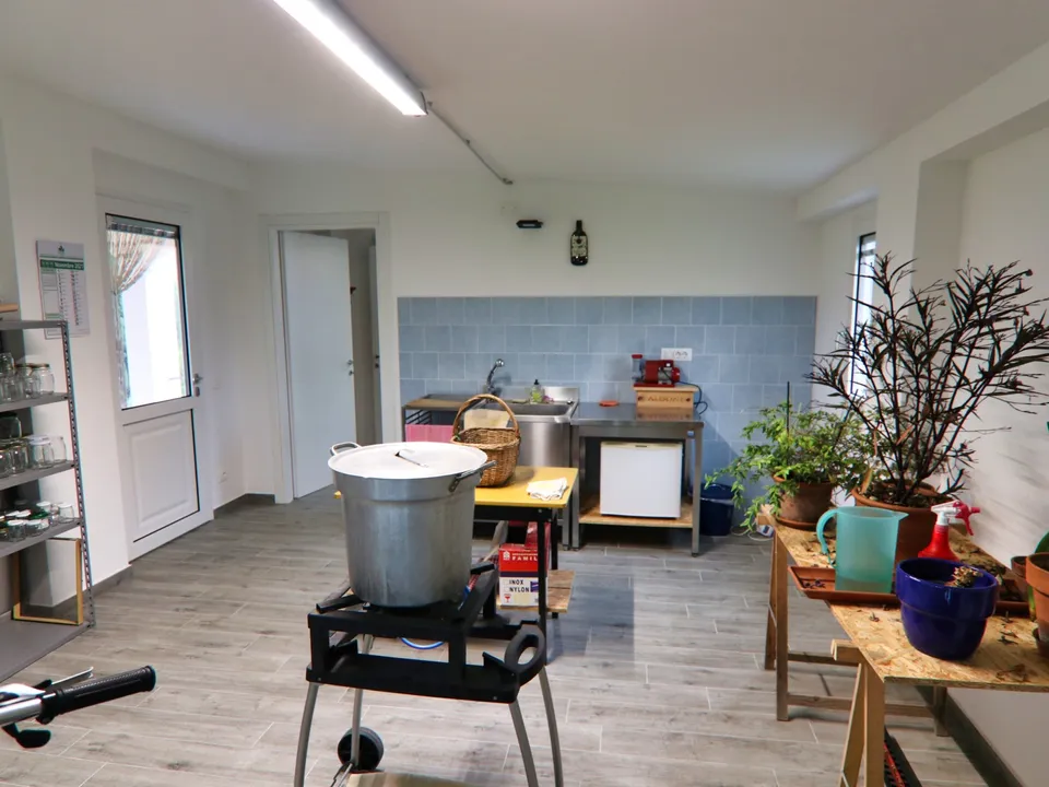 Donoratico,  villa in the Tuscan countryside for sale