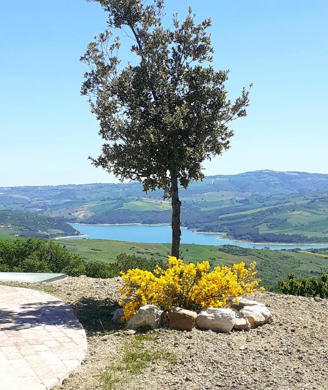 Wonderful house in the countryside overlooking the lake
