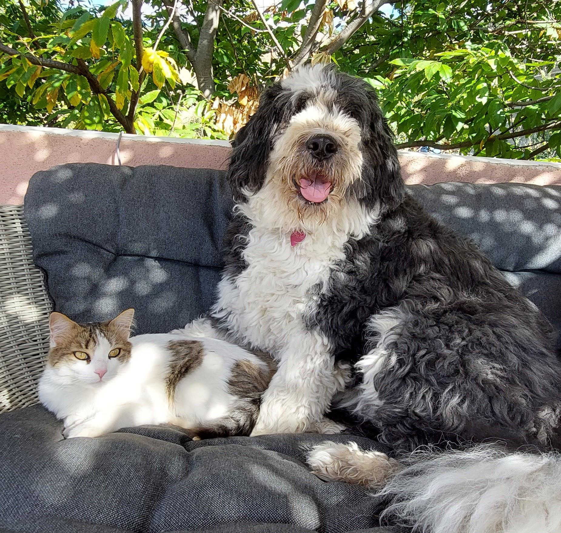 Small hobby farm near Taormina