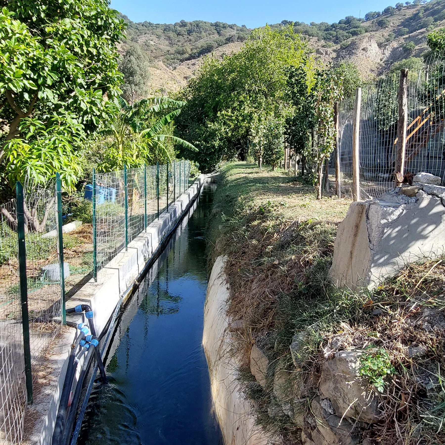 Small hobby farm near Taormina