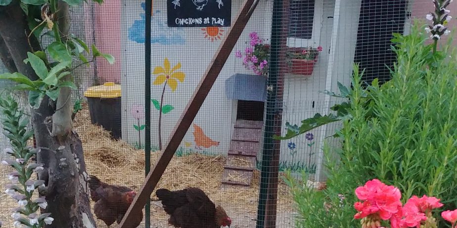 Small hobby farm near Taormina