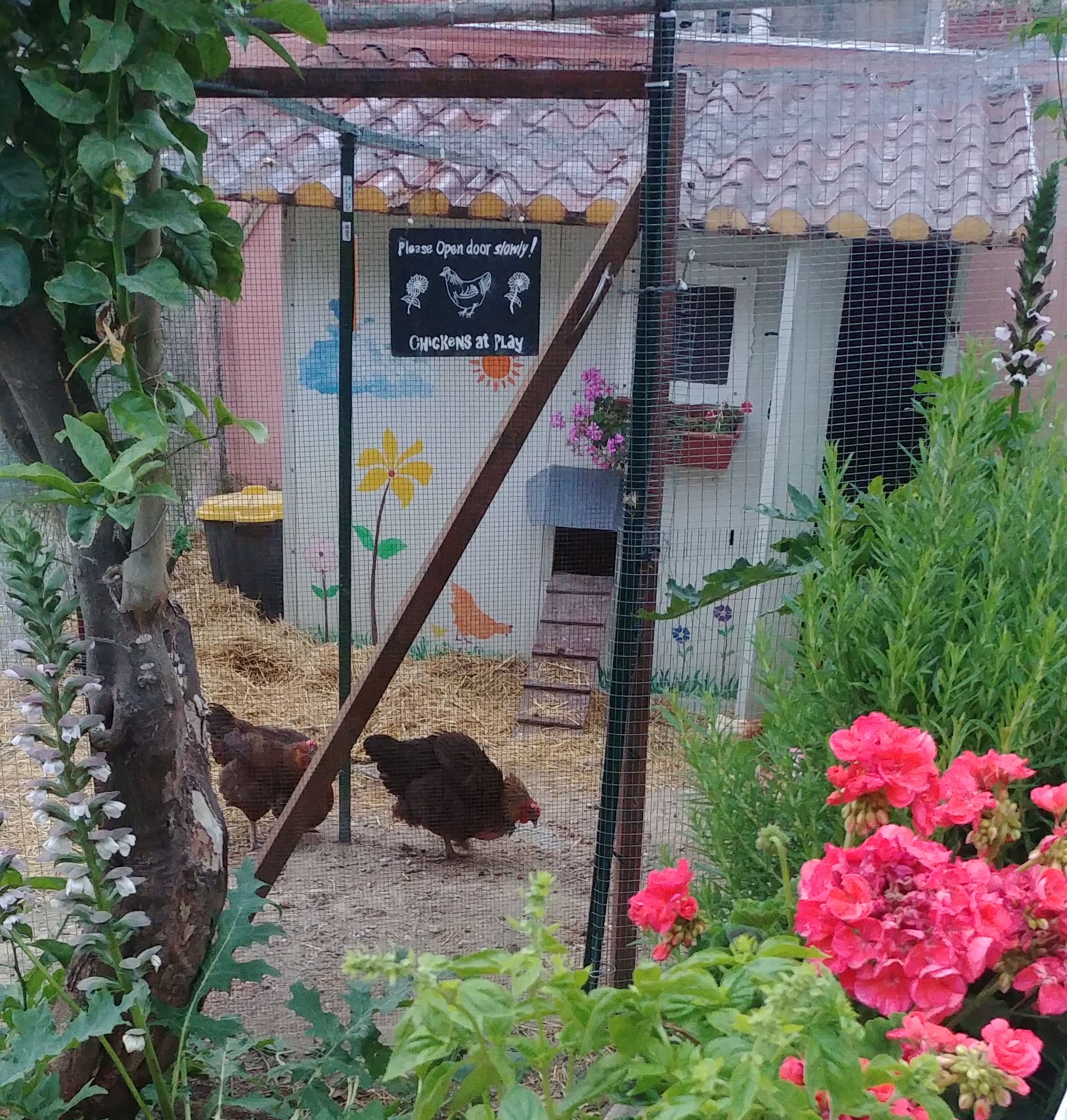 Small hobby farm near Taormina