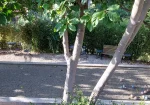 Small hobby farm near Taormina