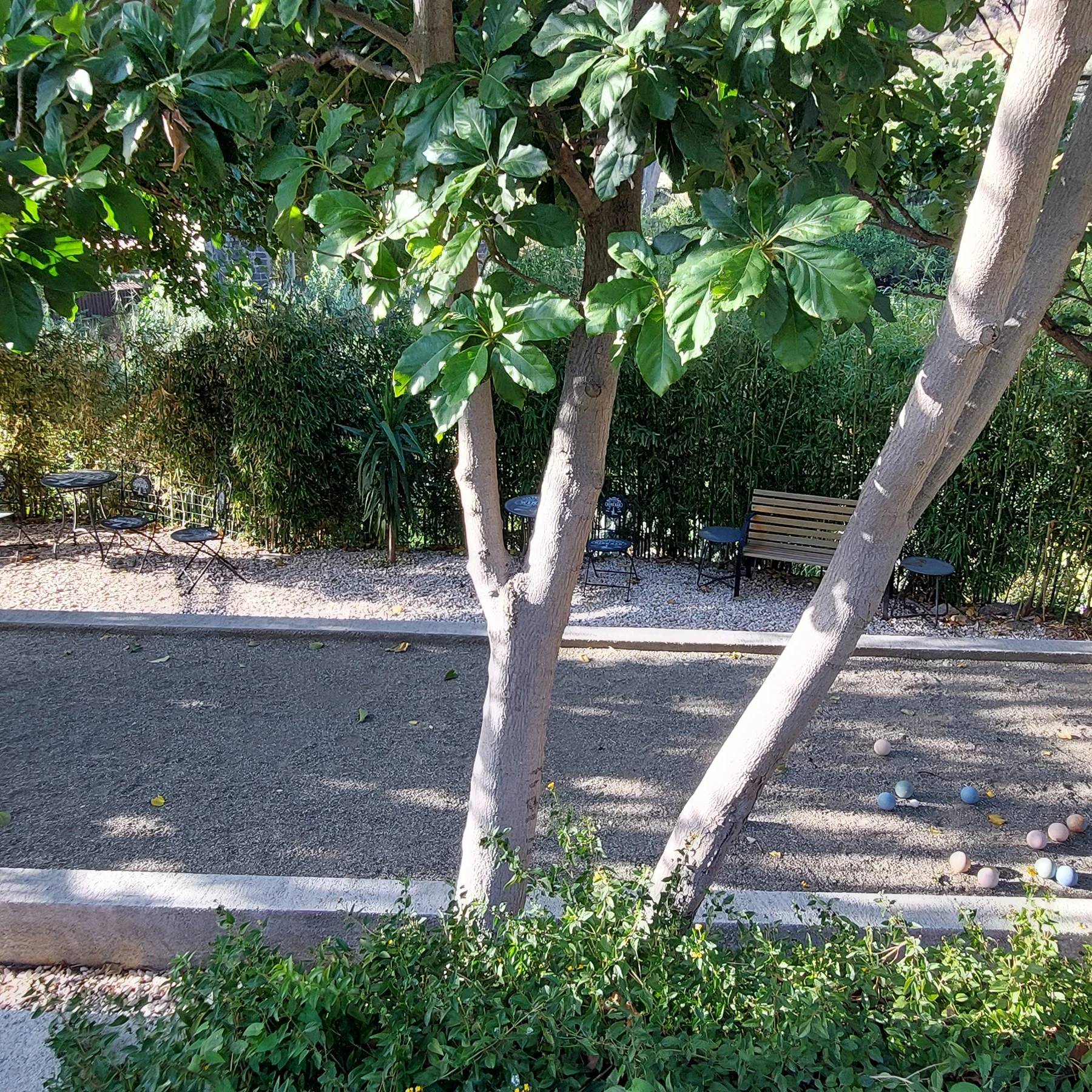 Small hobby farm near Taormina