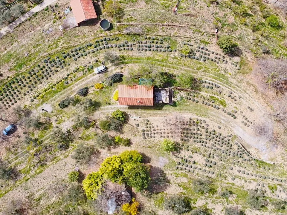 Antique villa in Castel Vittorio villa for sale