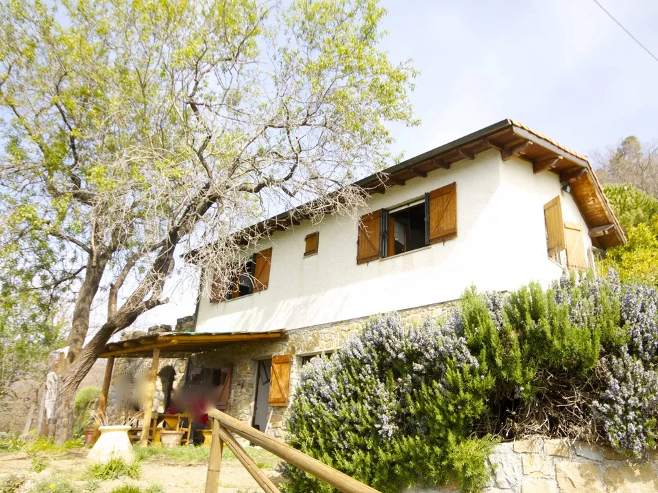 Antique villa in Castel Vittorio villa for sale