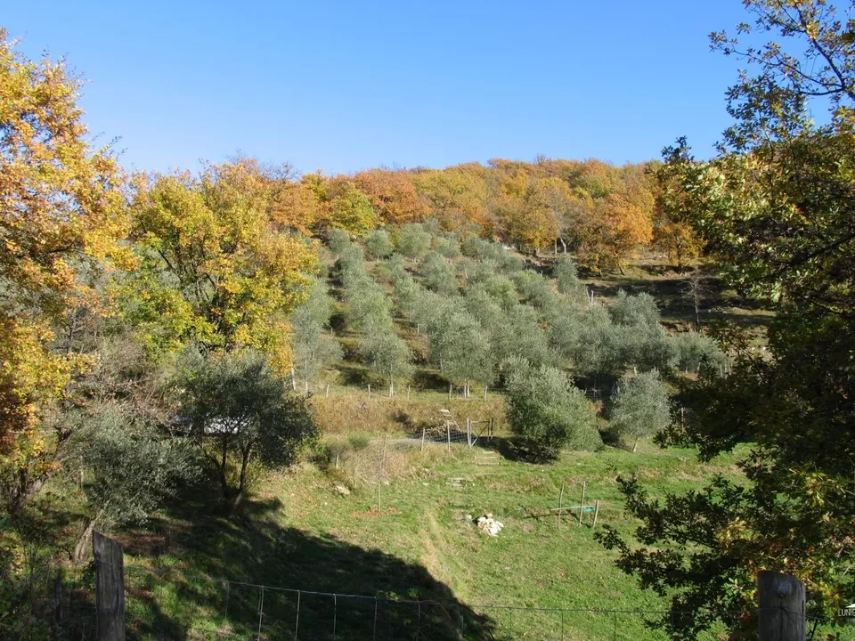 Stone farmhouse in Filattiera for sale