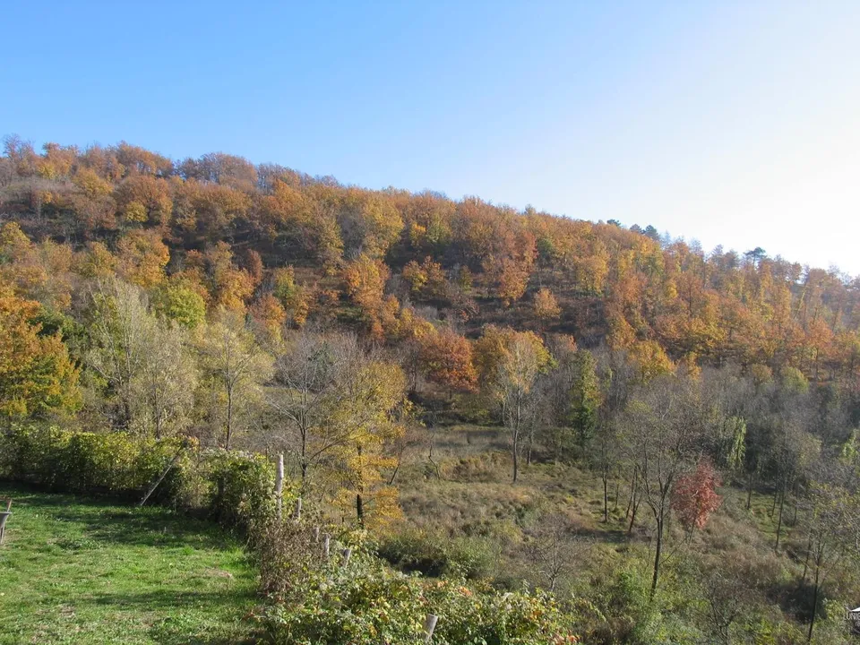 Stone farmhouse in Filattiera for sale