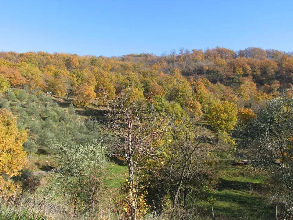 Stone farmhouse in Filattiera for sale