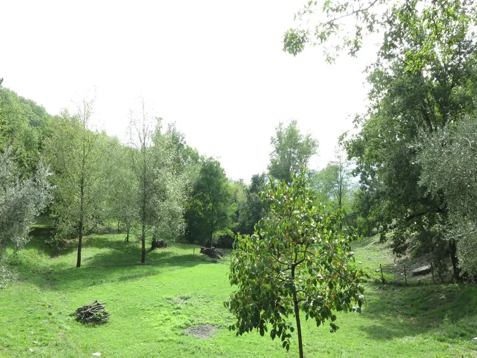 Stone farmhouse in Filattiera for sale