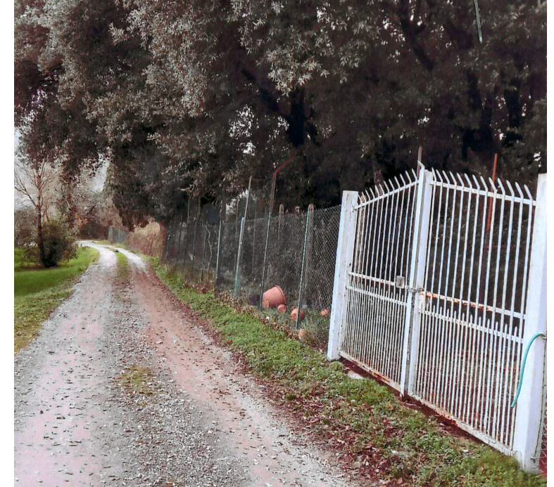 Tuscany In Serravalle Pistoiese (10 min Montecatini Terme, 30 min from Florence)