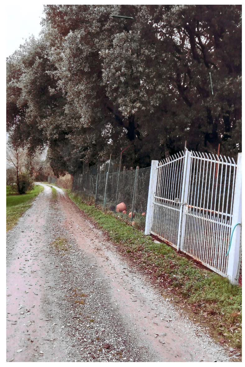 Tuscany In Serravalle Pistoiese (10 min Montecatini Terme, 30 min from Florence)