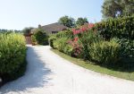Prestigious villa in a splendid hilly position in Potenza Picena with sea view, olive grove, swimming pool and dependence.