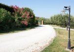 Prestigious villa in a splendid hilly position in Potenza Picena with sea view, olive grove, swimming pool and dependence.