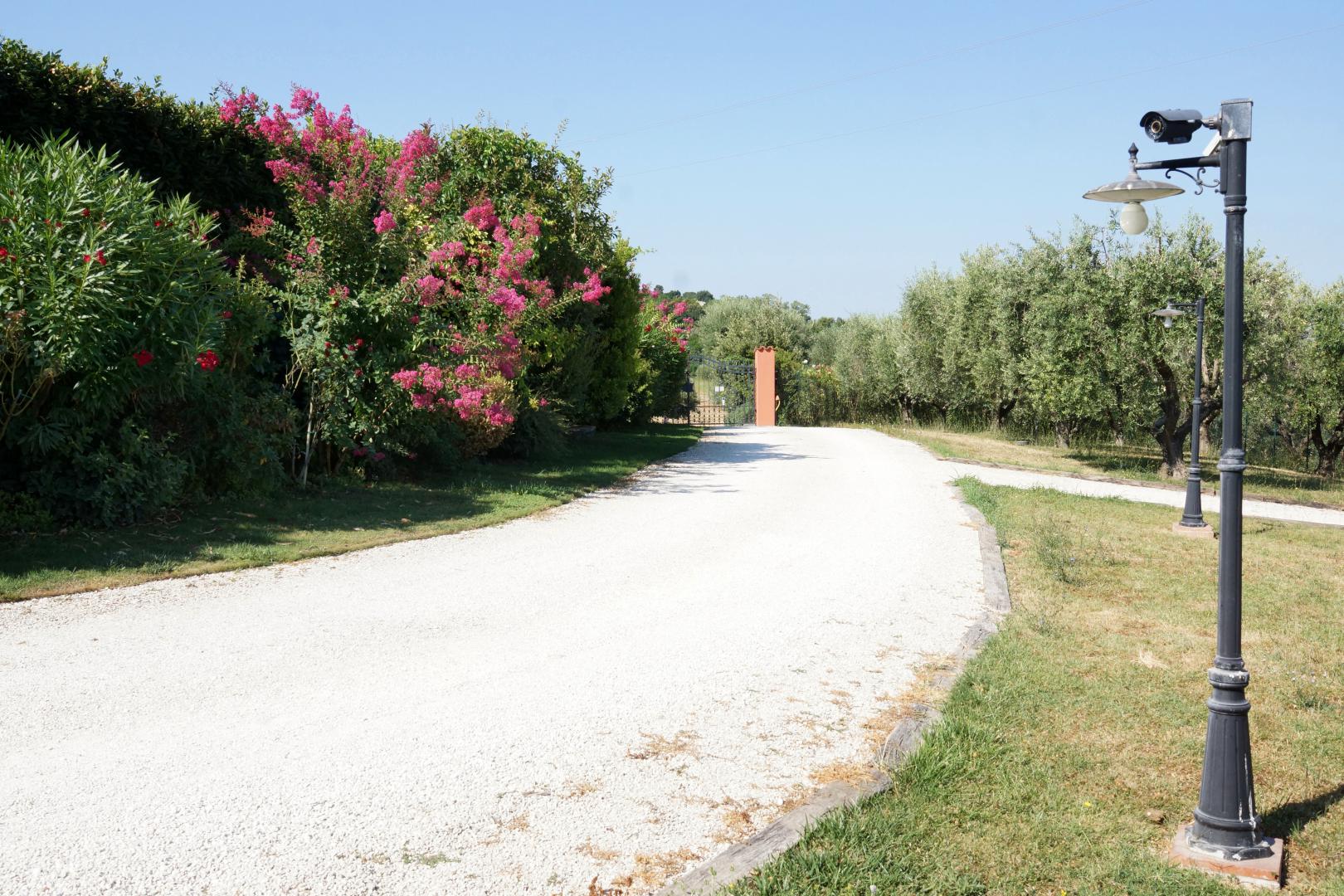 Prestigious villa in a splendid hilly position in Potenza Picena with sea view, olive grove, swimming pool and dependence.