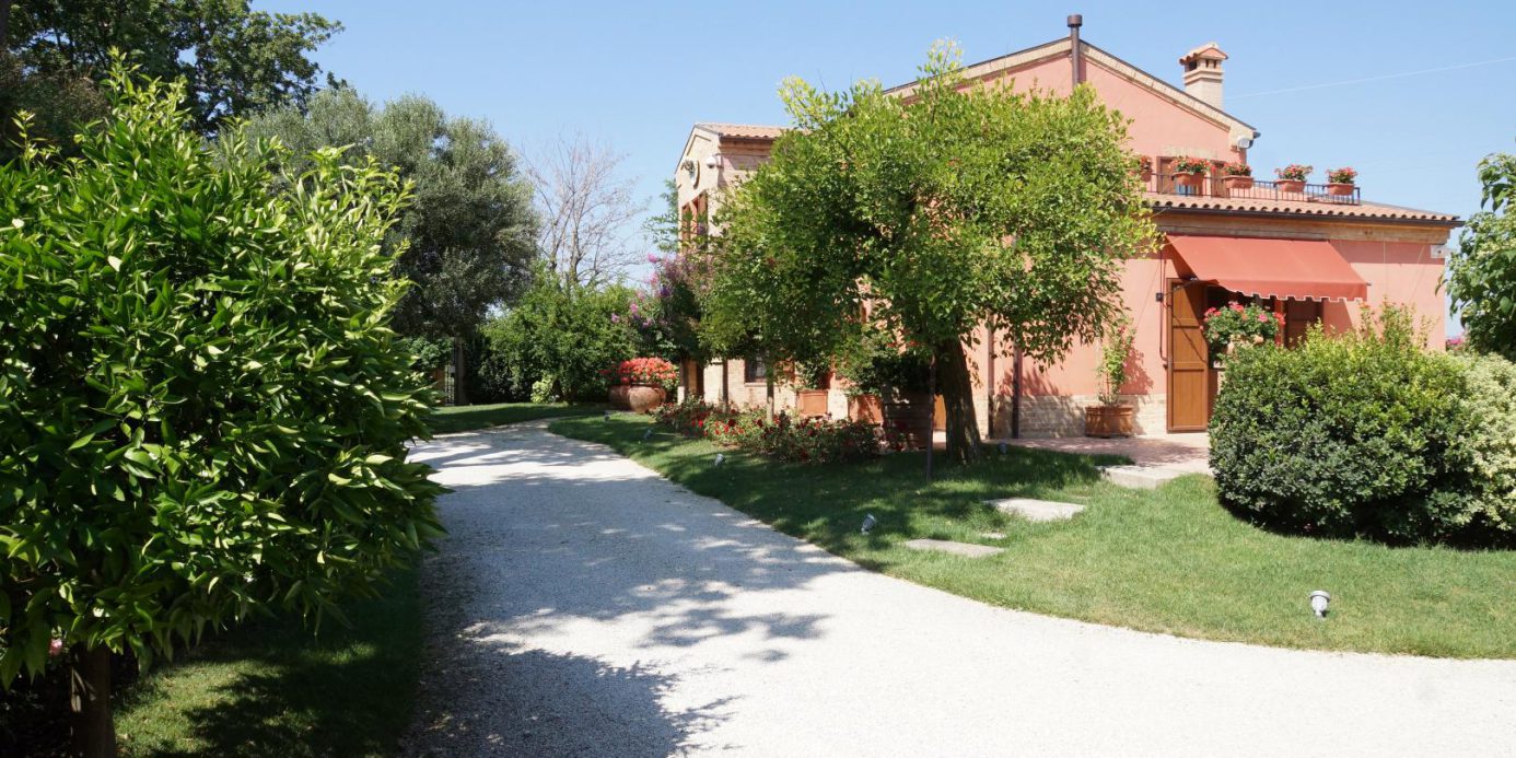 Prestigious villa in a splendid hilly position in Potenza Picena with sea view, olive grove, swimming pool and dependence.
