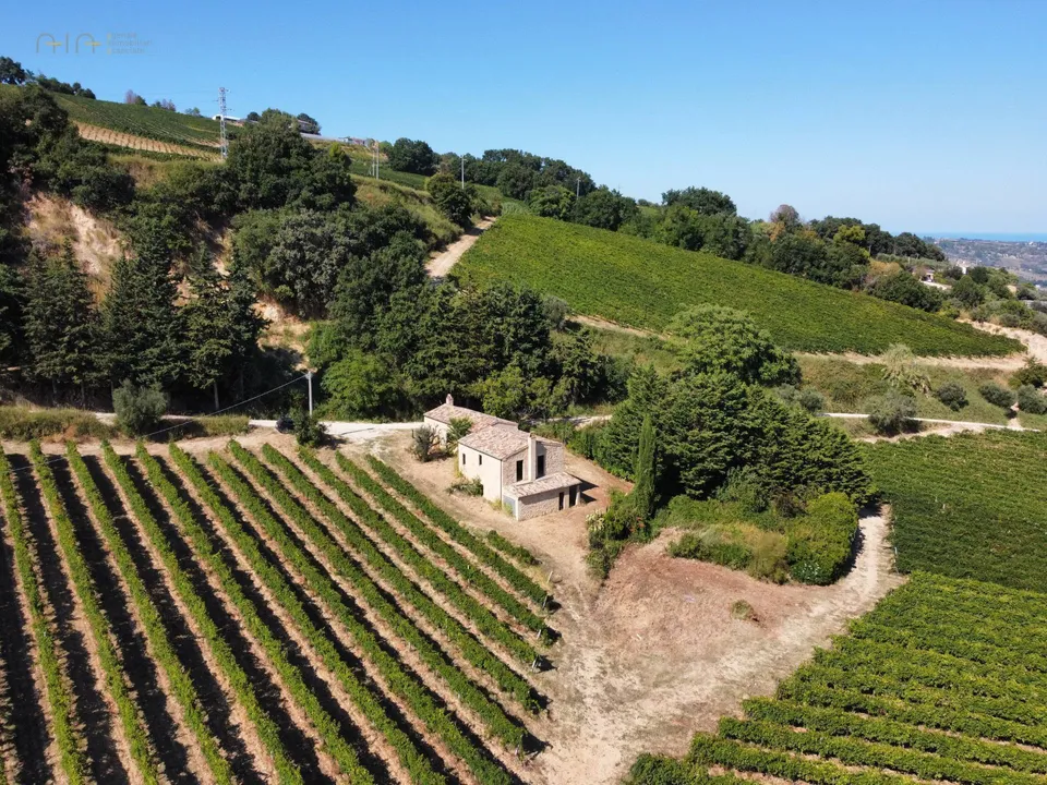 Beautiful farmhouse in Ripatransone, Ascoli Piceno of sale