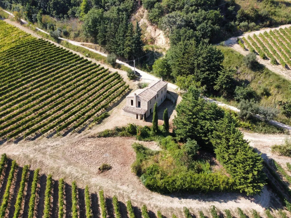 Beautiful farmhouse in Ripatransone, Ascoli Piceno of sale