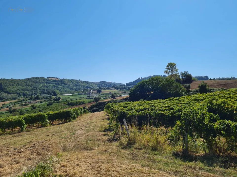 Beautiful farmhouse in Ripatransone, Ascoli Piceno of sale