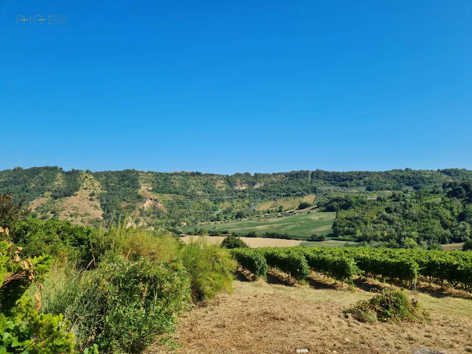 Beautiful farmhouse in Ripatransone, Ascoli Piceno of sale