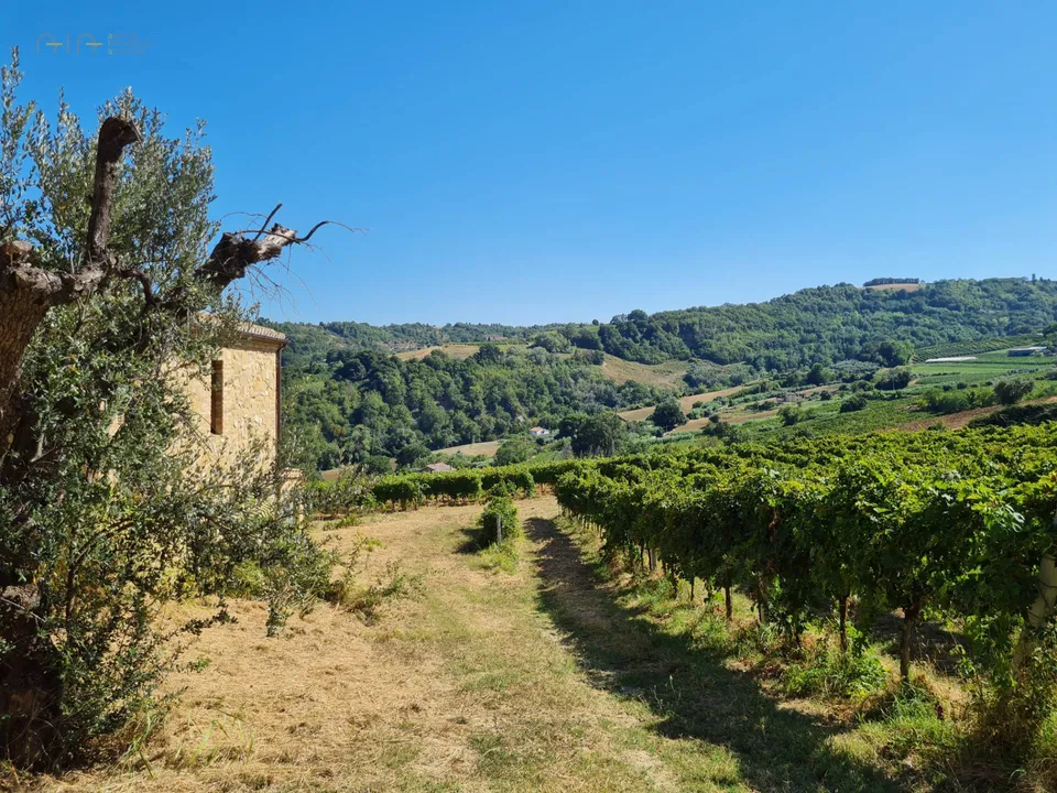 Beautiful farmhouse in Ripatransone, Ascoli Piceno of sale