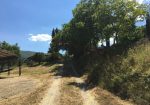 Stonehouse for Sale Poppi Tuscany