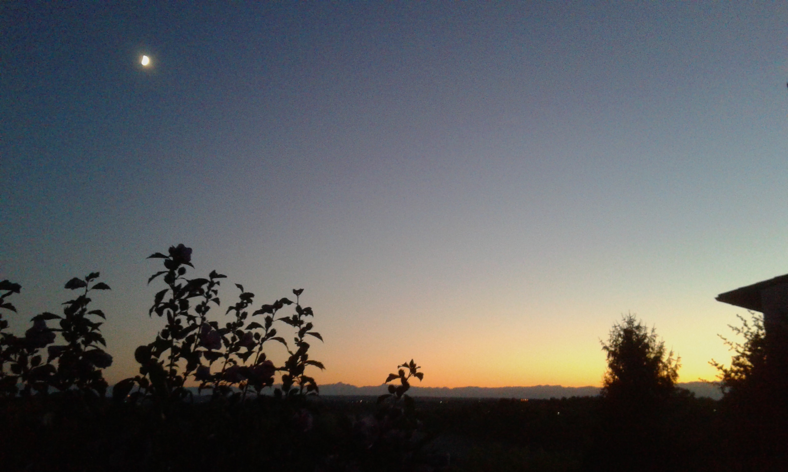 For sale an entire typical Piedmontese house in the municipality of Camerano Casasco (At)